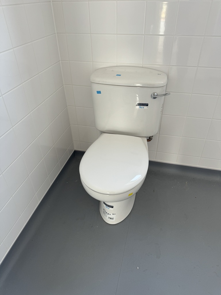 New toilet installed in a tiled washroom